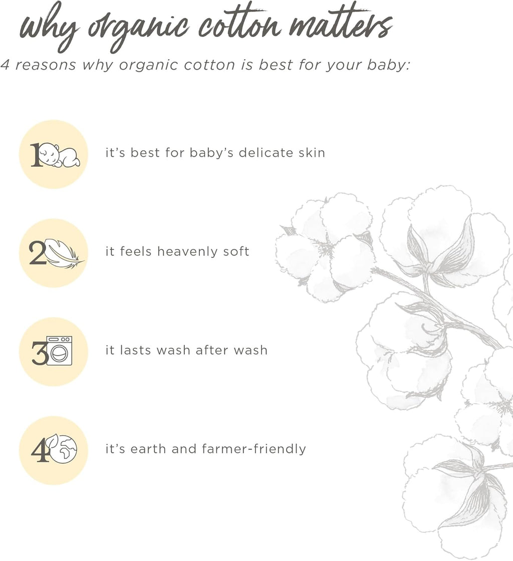 Organic Cotton Unisex Short Sleeve Bodysuits - Set of 3